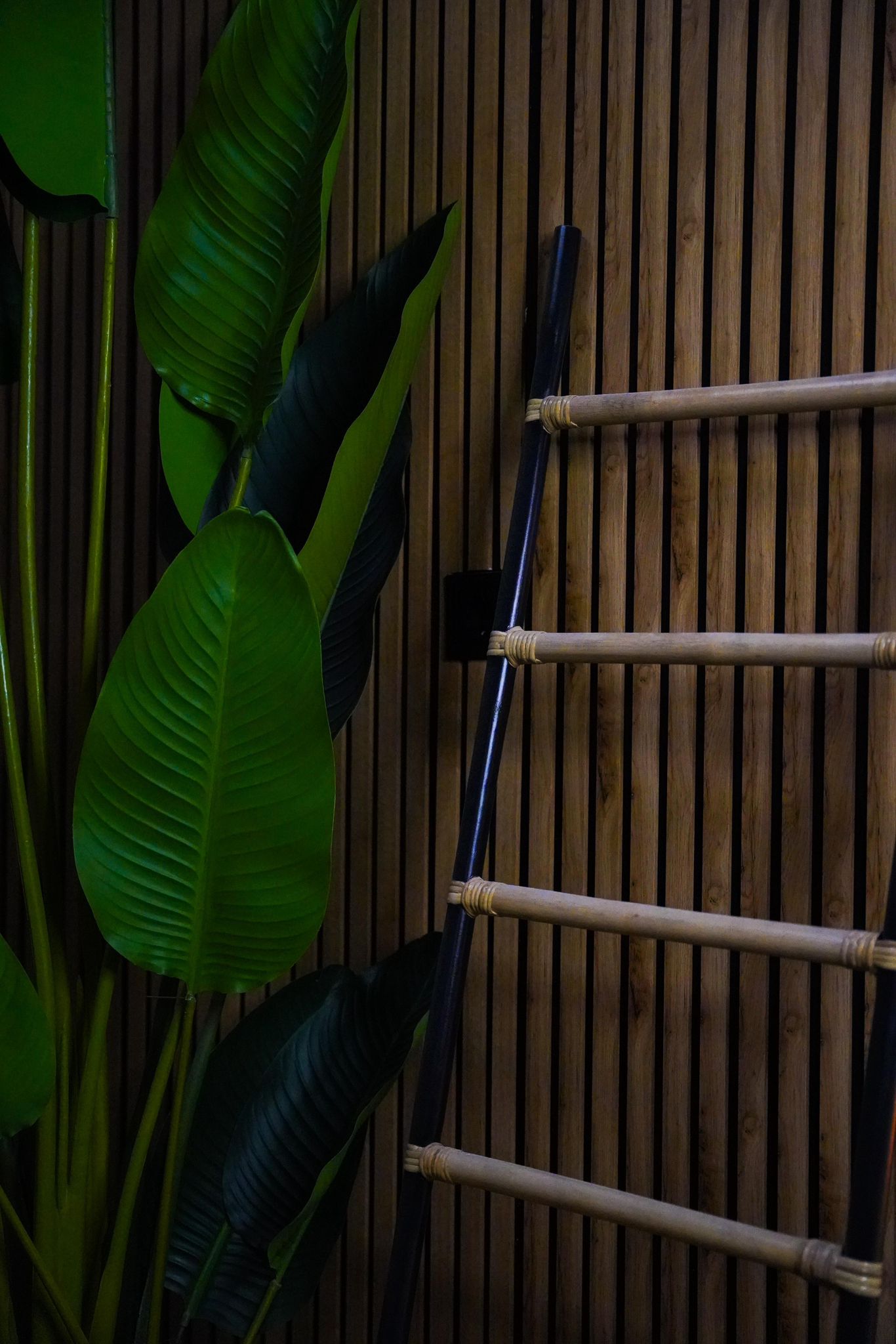 Zen Bamboo Garden